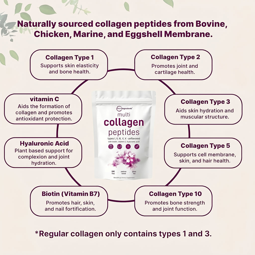 Ingredients for Premium collagen supplement powder for daily health support