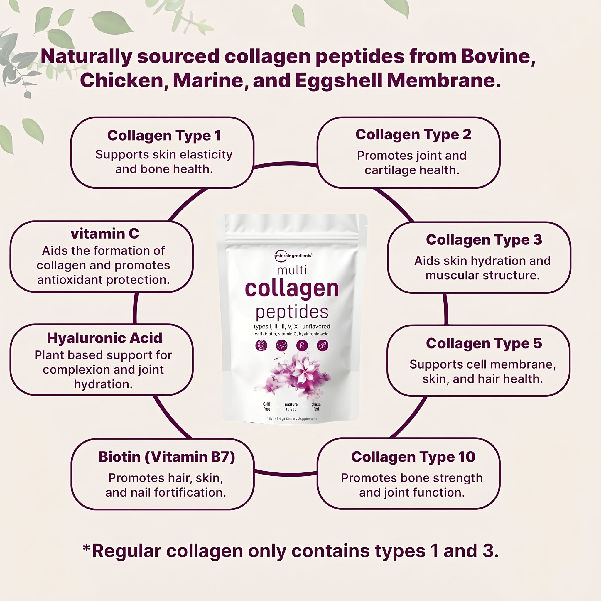 Ingredients for Premium collagen supplement powder for daily health support